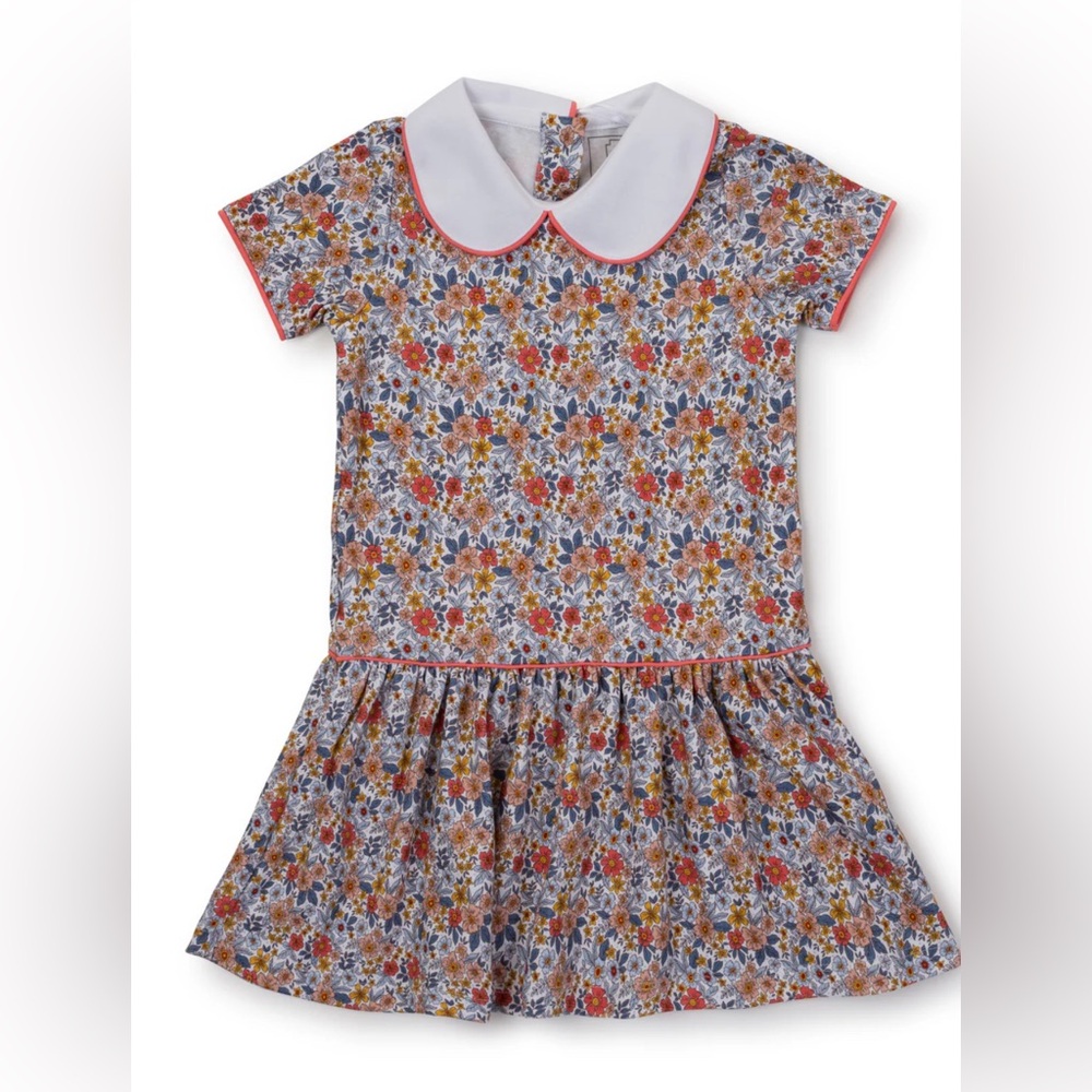 Lila and Hayes, The Libby Dress in Falling for Florals, 2T